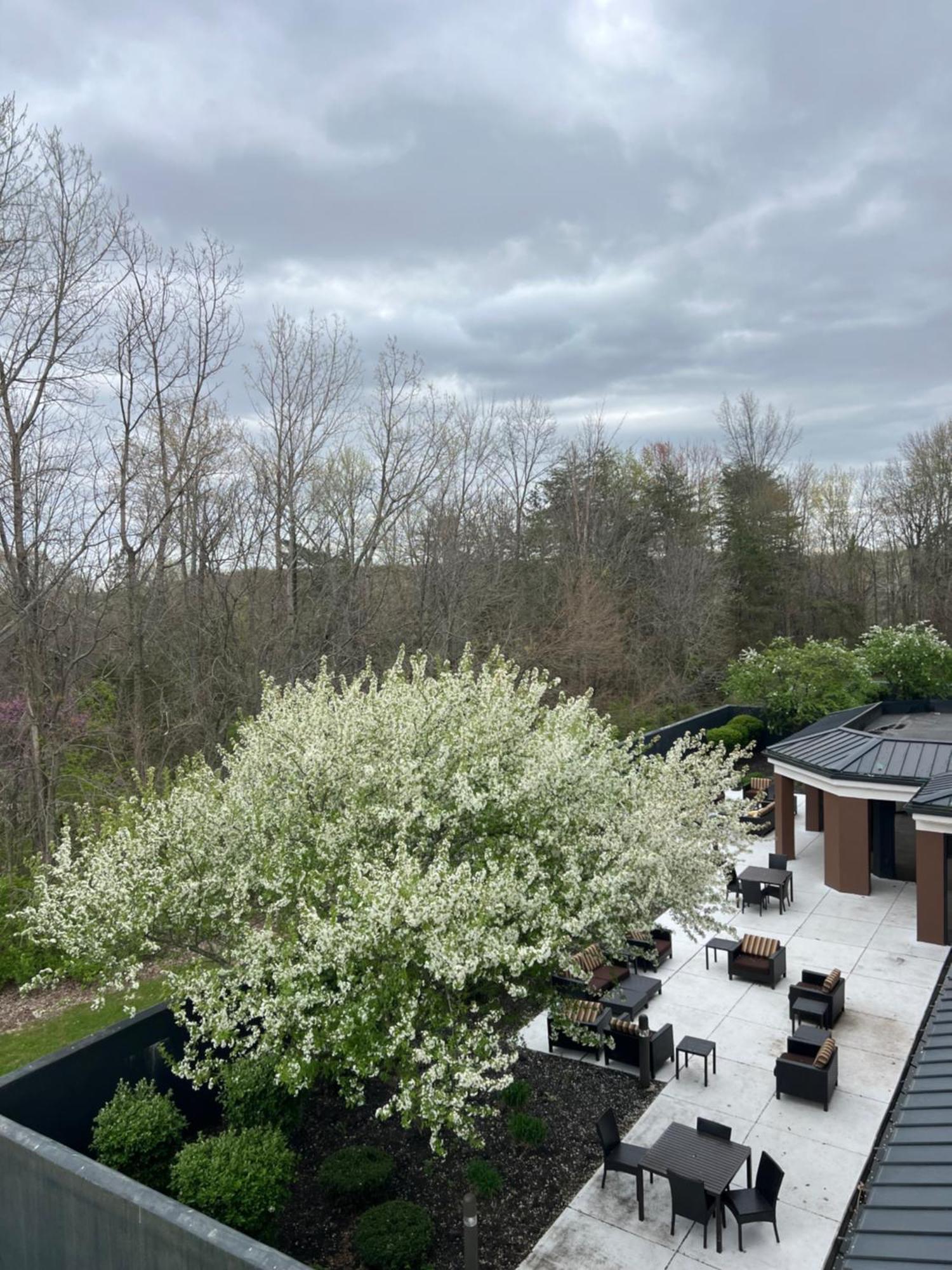 Country Inn & Suites By Radisson, Columbus-Edinburgh Bagian luar foto